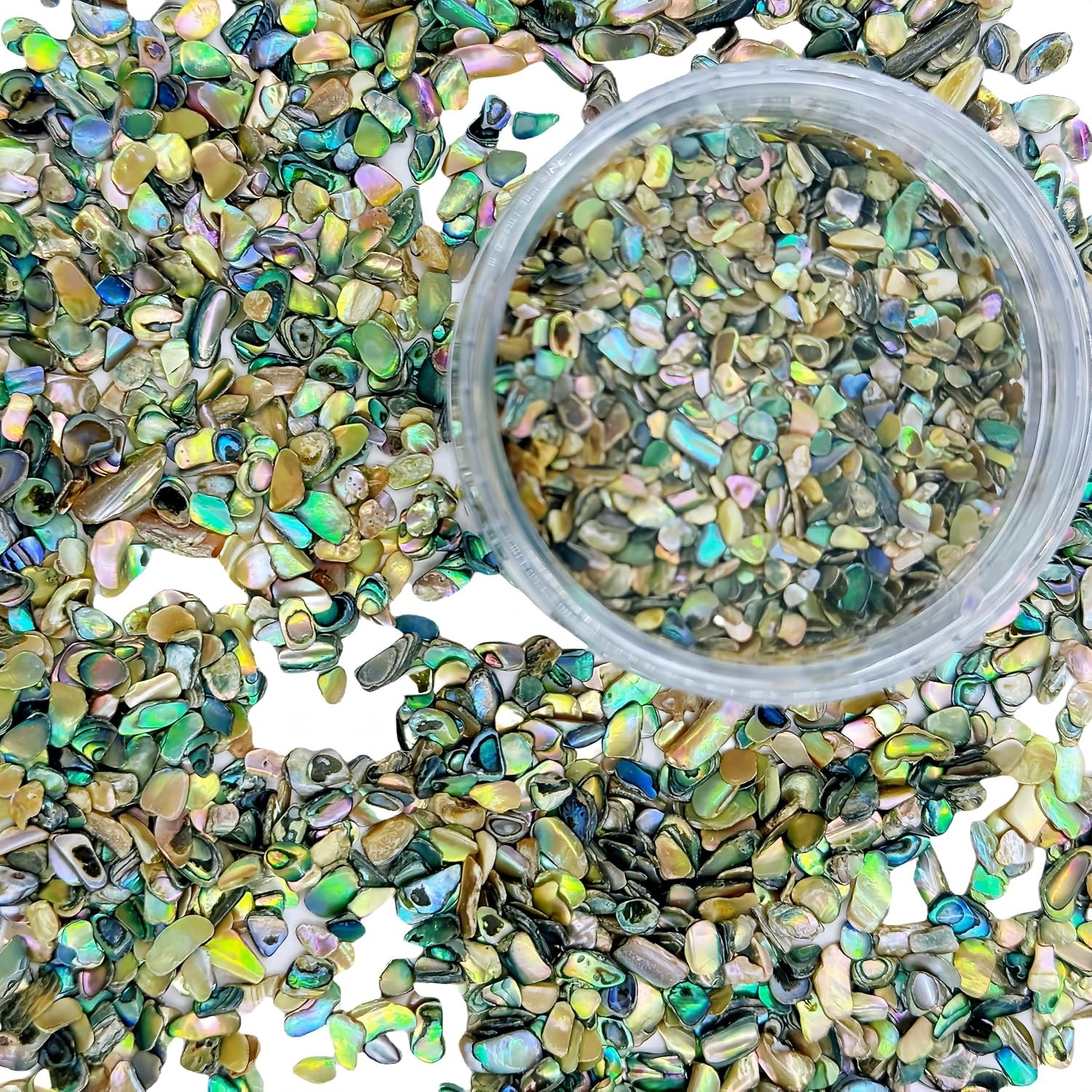 Paua Abalone Shell Pieces Jewelry Making Wood Inlay Supplies 2 oz Abalone