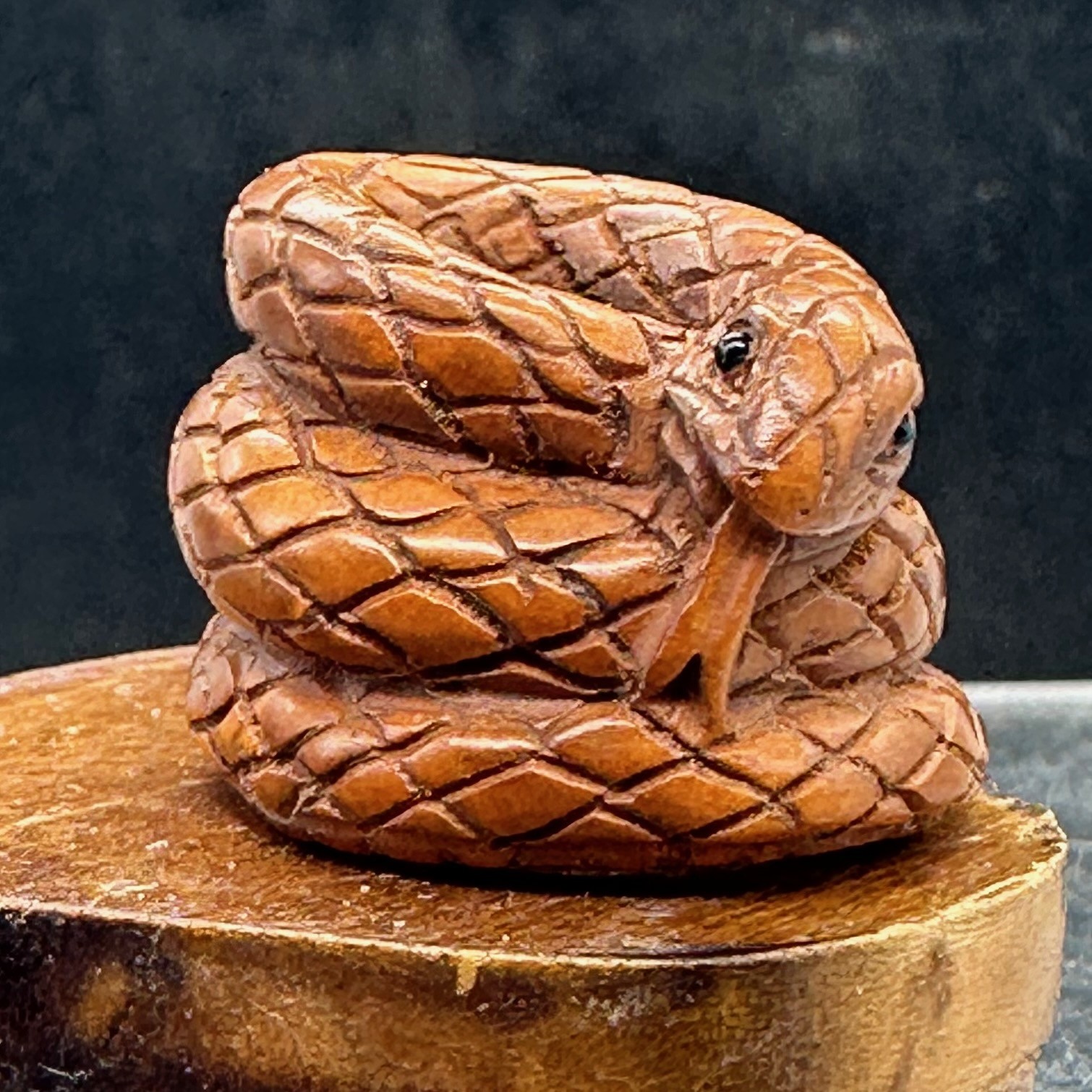 Year of the Snake 2025 Coiled Boxwood Bead | 1 Netsuke | | 17x22x23mm | Brown