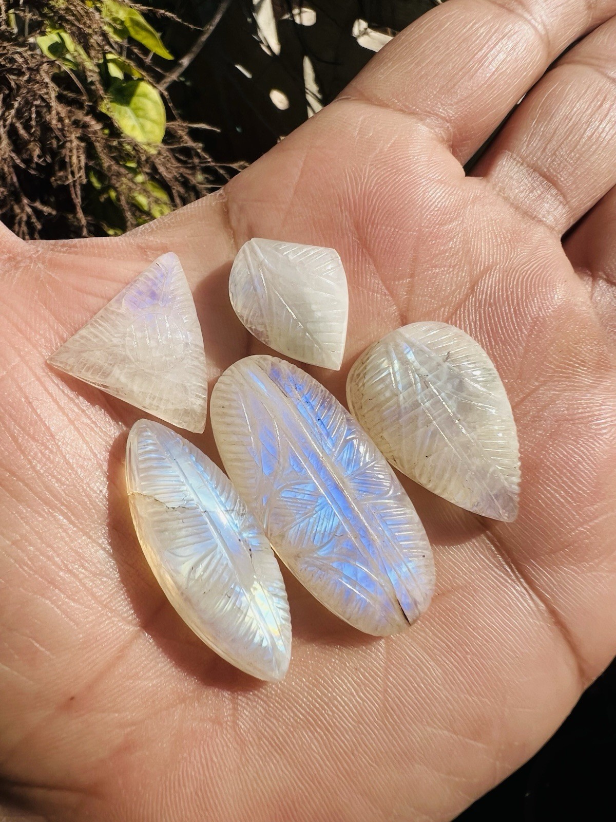 AAA Natural Rainbow Moonstone Carving Gemstone 5 Pieces!White Rainbow Carving!